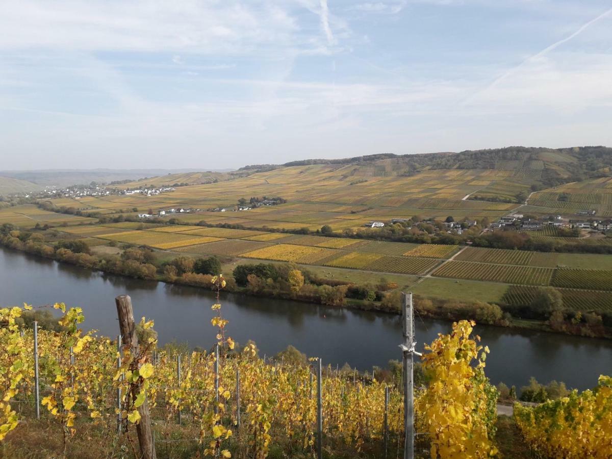 Weingut Johanneshof Minheim Exterior photo